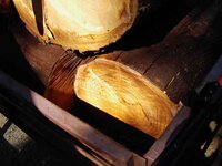 timber preparation 0282_(1).jpg