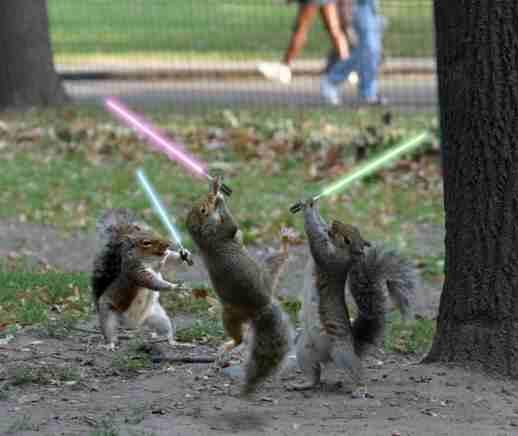 200766145121_squirrel_jedi.jpg