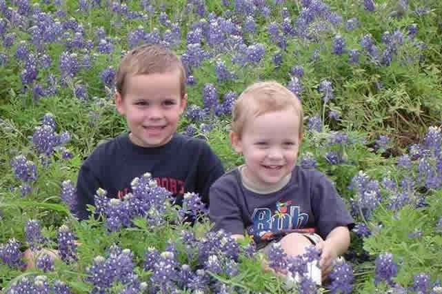 200811017587_Bluebonnet_Perkins.jpg