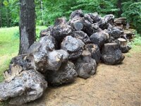 burl pile.jpg