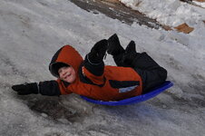 Landon sled.JPG