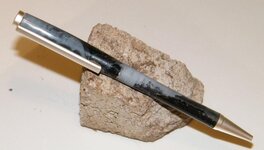 PENS 01022010 013.jpg