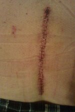 30Staples.jpg