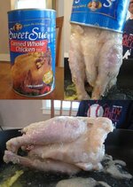 chicken.jpg