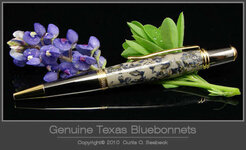 Bluebonnet1.jpg