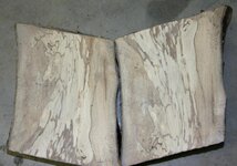 Spalted Holly.jpg