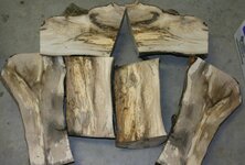 Spalted Holly - 2.jpg