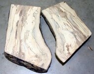 Spalted Holly - Group 2.jpg