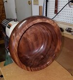 Walnut 1m.jpg