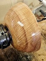 Curly Maple 01b.jpg