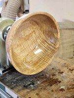 Curly Maple 01a.jpg