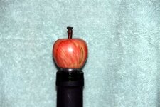 Apple wine stopper-in bottle neck.jpg