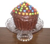 Super Giant Birthday Cup Cake 2009.jpg