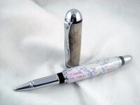 Pen 304 - 2.jpg