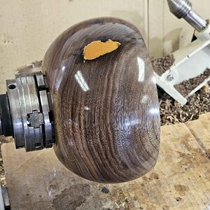 Walnut 9b.jpg