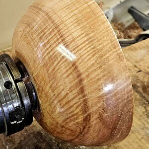 Curly Maple 01b.jpg