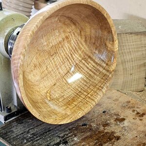 Curly Maple 01a.jpg