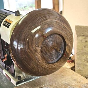 Walnut 902a.jpg