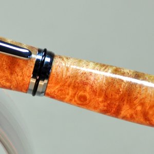 Barron in Maple Burl