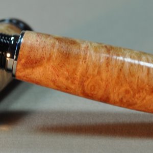 Barron in Maple Burl - 2