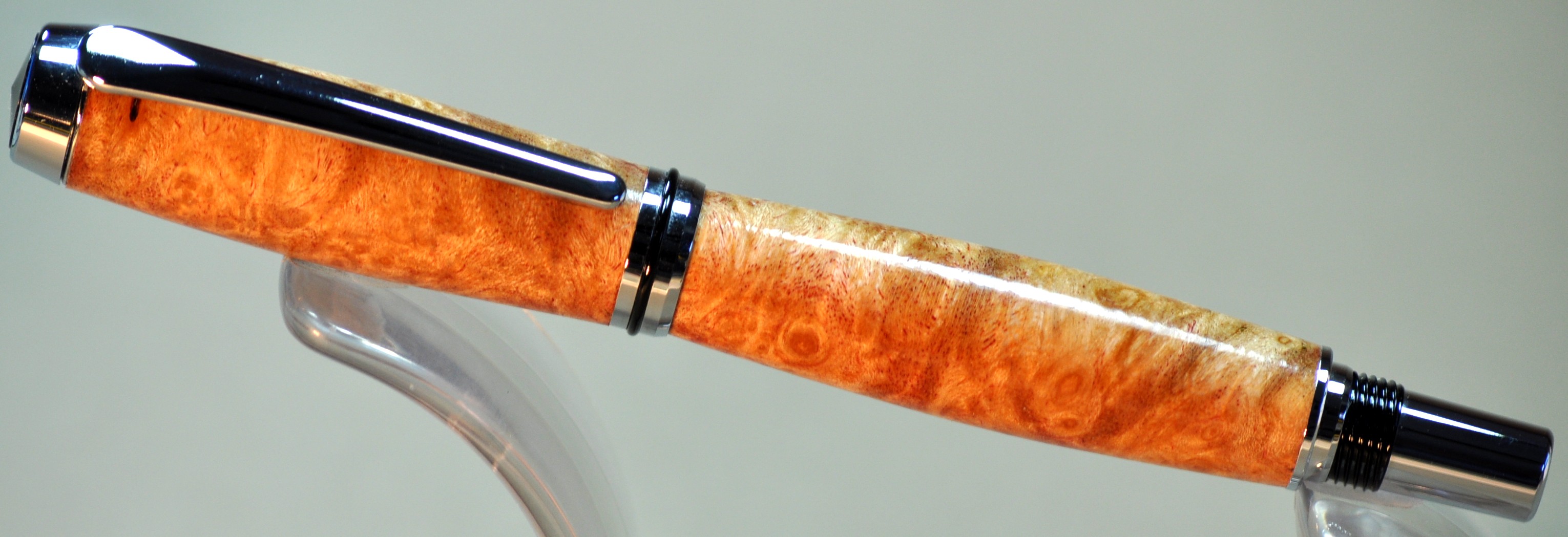 Barron in Maple Burl