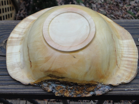 Box Elder Burl Cap