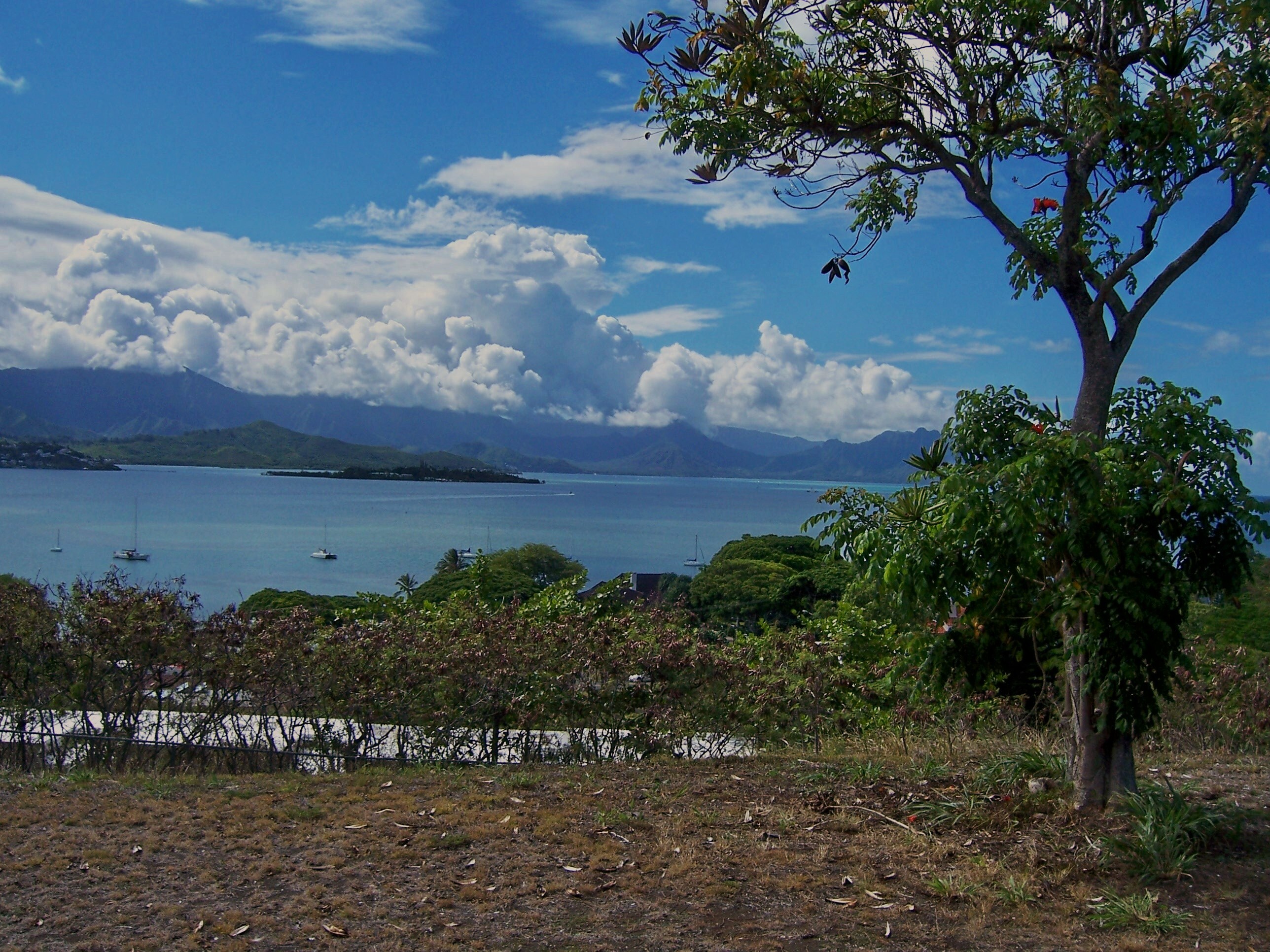 Ohau scenery