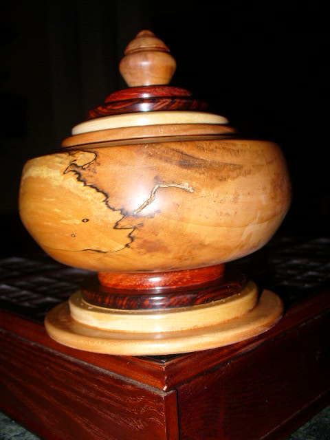 Spalted Bradford Pear Vessel with Padauk,Cocobolo,Ash,Cherry on Lid and Base