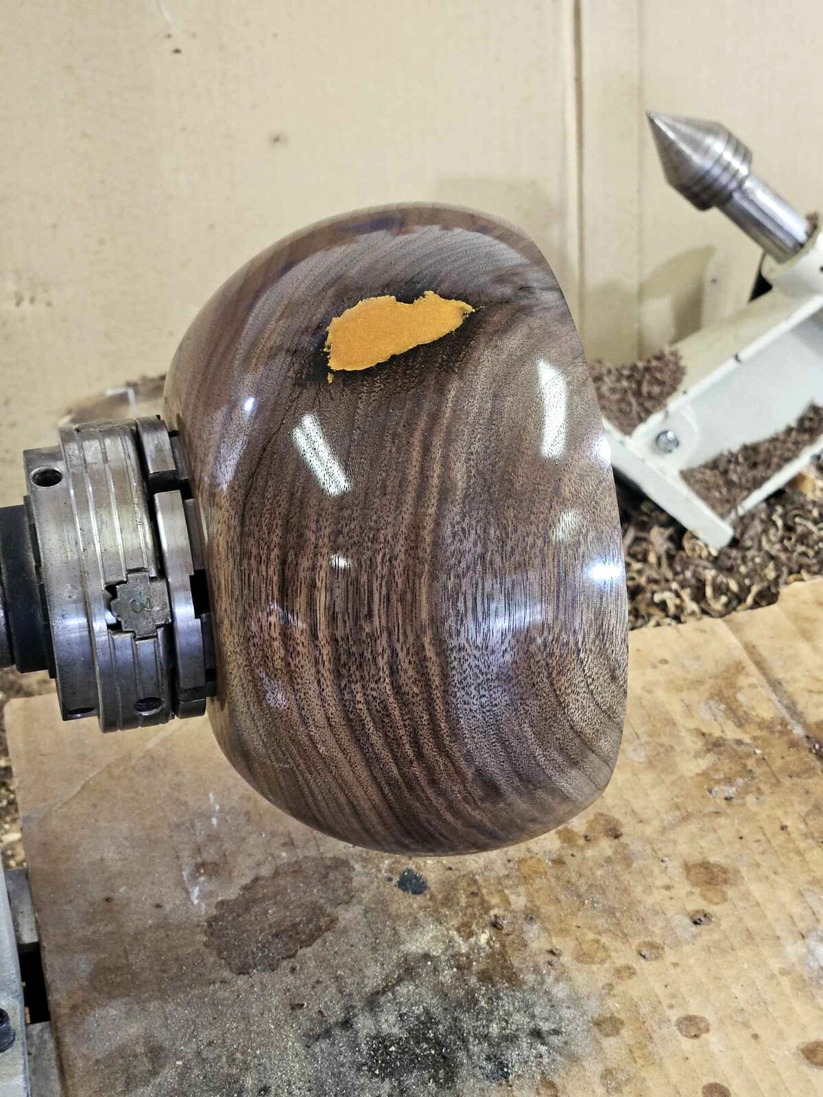 Walnut 9b.jpg